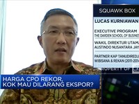 Harga CPO Melonjak, Emiten Nikmati Kenaikan Laba di Atas 100%