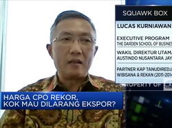 Harga CPO Melonjak, Emiten Nikmati Kenaikan Laba di Atas 100%