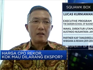 Harga CPO Melonjak, Emiten Nikmati Kenaikan Laba di Atas 100%