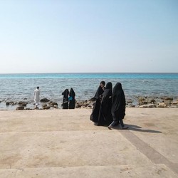 Raja Salman Izinkan Alkohol-Bikini di Arab, Ini Kronologinya