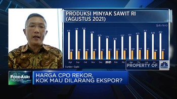 Wacana Setop Ekspor CPO, Produsen Fokus ke Pasar Domestik