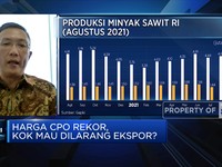 Wacana Setop Ekspor CPO, Produsen Fokus ke Pasar Domestik