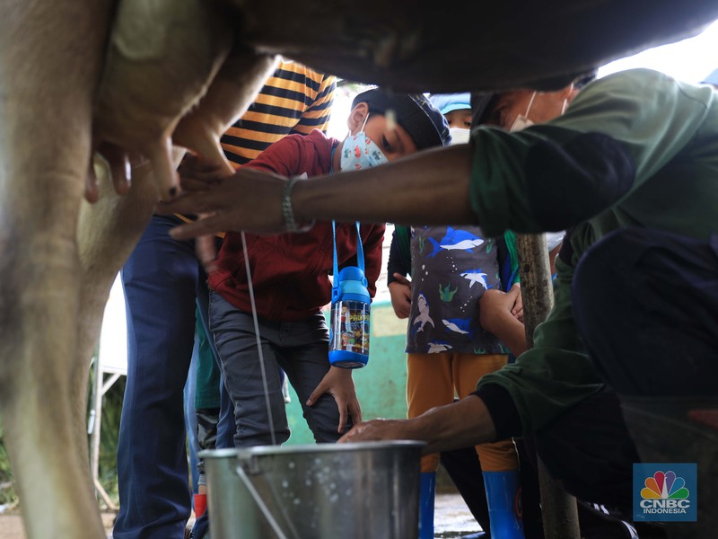 Belajar mengenal lingkungan di Taman Agro Edukasi Wisata Ragunan. (CNBC Indonesia/Muhammad Sabki)