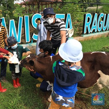 Intip Taman Agro Edukasi Wisata Ragunan yang Dibuka Kembali
