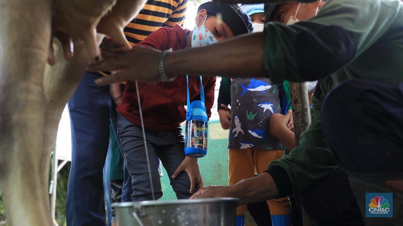 Belajar mengenal lingkungan di Taman Agro Edukasi Wisata Ragunan. (CNBC Indonesia/Muhammad Sabki)