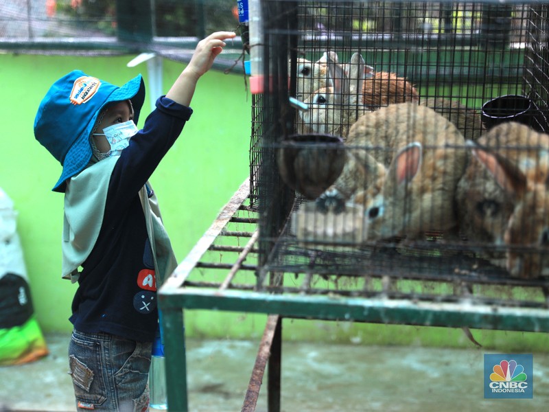 Belajar mengenal lingkungan di Taman Agro Edukasi Wisata Ragunan. (CNBC Indonesia/Muhammad Sabki)