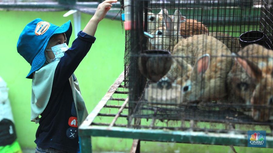 Belajar mengenal lingkungan di Taman Agro Edukasi Wisata Ragunan. (CNBC Indonesia/Muhammad Sabki)