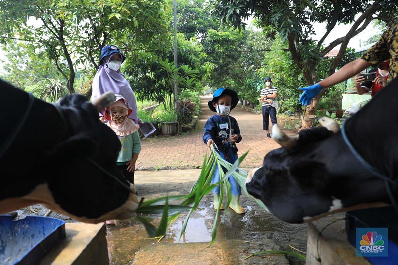 Belajar mengenal lingkungan di Taman Agro Edukasi Wisata Ragunan. (CNBC Indonesia/Muhammad Sabki) Belajar mengenal lingkungan di Taman Agro Edukasi Wisata Ragunan. (CNBC Indonesia/Muhammad Sabki)