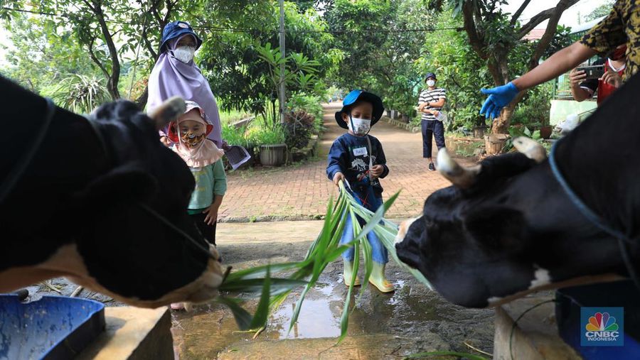 Belajar mengenal lingkungan di Taman Agro Edukasi Wisata Ragunan. (CNBC Indonesia/Muhammad Sabki)