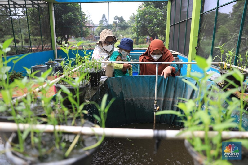 Belajar mengenal lingkungan di Taman Agro Edukasi Wisata Ragunan. (CNBC Indonesia/Muhammad Sabki) Belajar mengenal lingkungan di Taman Agro Edukasi Wisata Ragunan. (CNBC Indonesia/Muhammad Sabki)