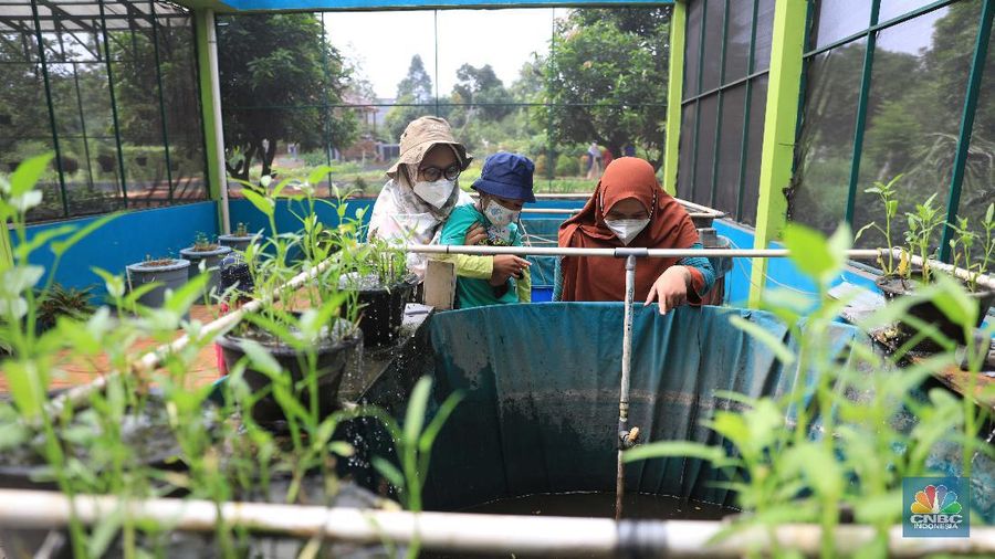 Belajar mengenal lingkungan di Taman Agro Edukasi Wisata Ragunan. (CNBC Indonesia/Muhammad Sabki)