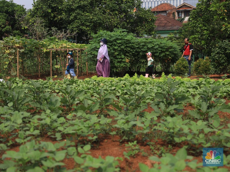 Belajar mengenal lingkungan di Taman Agro Edukasi Wisata Ragunan. (CNBC Indonesia/Muhammad Sabki) Belajar mengenal lingkungan di Taman Agro Edukasi Wisata Ragunan. (CNBC Indonesia/Muhammad Sabki)