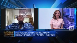 Harga Batu Bara 