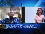 Harga Batu Bara 