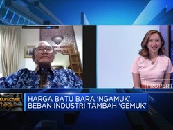 Harga Batu Bara "Ngamuk", Beban Industri Domestik Kian Berat