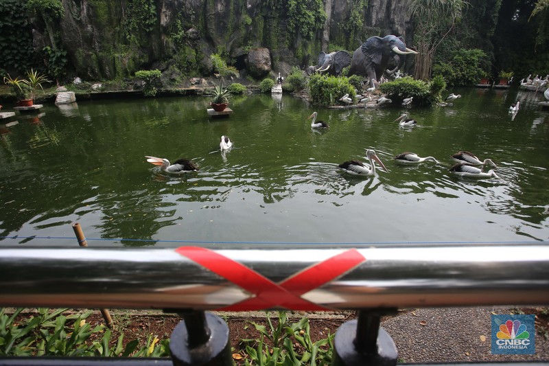 Ilustrasi tempat wisata Ragunan. (CNBC Indonesia/Muhammad Sabki)