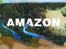 Ngeri! Hutan Amazon Makin Botak, Kehidupan Manusia Terancam