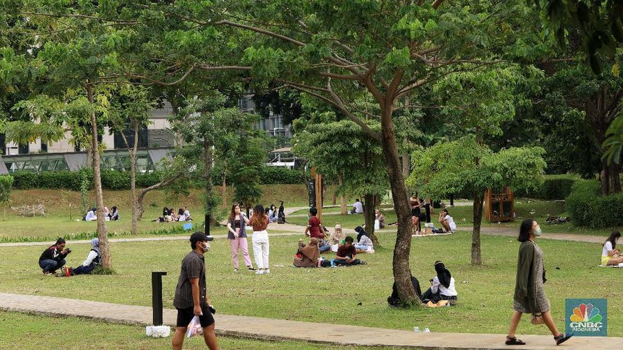 Suasana Hutan Kota GBK di Kompleks Gelora Bung Karno (GBK), Senayan, Jakarta. (CNBC Indonesia/Andrean Kristianto)