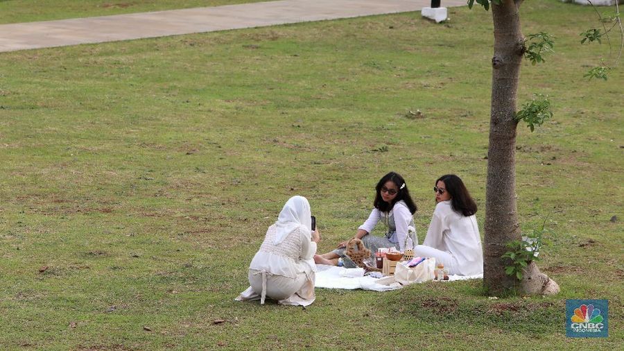 Suasana Hutan Kota GBK di Kompleks Gelora Bung Karno (GBK), Senayan, Jakarta. (CNBC Indonesia/Andrean Kristianto)