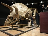 China Tembak Telur Dinosaurus Pakai Nuklir