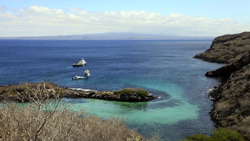 In this Dec. 8, 2012 photo, a helicopter is supplied with poisonous rat bait in the waters of Galapagos Pinzon Island, Ecuador. The unique species that make the Galapagos Islands a treasure for scientists and tourists must be preserved, Ecuadorean authorities say  and that means the rats must die, hundreds of millions of them. The invasive Norway and black rats, introduced by whalers and buccaneers beginning in the 17th century, feed on the eggs and hatchlings of the islands' native species, which include giant tortoises, lava lizards, snakes, hawks and iguanas. (AP Photo/Dolores Ochoa)