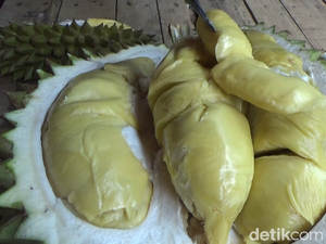 Creamy Legit Durian Mentega Khas Lereng Gunung Semeru