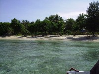 Ini Pulau Bulan, Sumber Impor Listrik & Babi Untuk Singapura