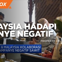 Indonesia-Malaysia 'Kolab' Hadapi Kampanye Negatif Sawit