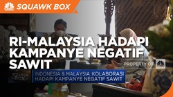 Indonesia-Malaysia 'Kolab' Hadapi Kampanye Negatif Sawit