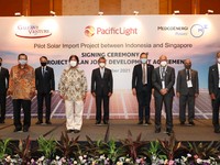 Singapura Krisis Listrik, Konsorsium Medco & Salim Siap Pasok