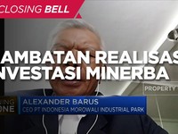 Isu Izin Hingga Pandemi, Hambat Realisasi Investasi Minerba