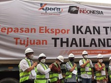 BNI Xpora Kolaborasi Genjot Ekspor Tuna ke Thailand