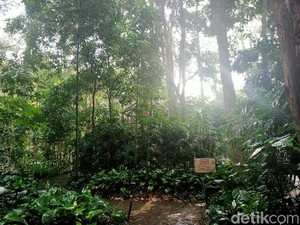 Taman Tahura Bandung : Fasilitas, Lokasi, Harga Tiket