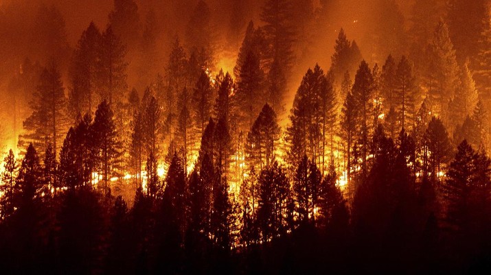 The Dixie Fire burns down a hillside towards Diamond Mountain Rd. near Taylorsville in Plumas County, Calif., on Friday, Aug. 13, 2021. (AP Photo/Noah Berger)