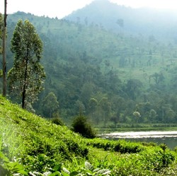 Kang Emil Pamerkan Keberhasilan Sungai Citarum di KTT COP-26