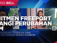 Komitmen Freeport Perangi Perubahan Iklim & Tekan Emisi Gas