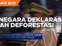 105 Negara Deklarasi Cegah Deforestasi