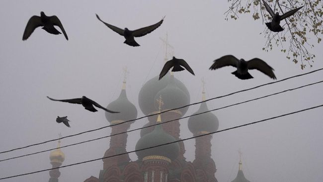 430 Gambar Burung Aesthetic HD Terbaik