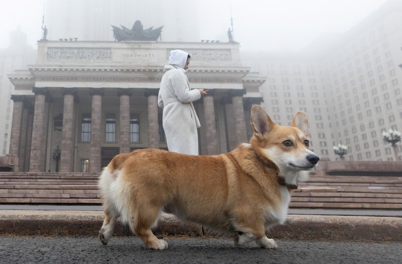 A pedestrian walk through morning fog along a pond in Ostankino in Moscow, Russia, Tuesday, Nov. 2, 2021. More than 30 flights were delayed or canceled at three airports in the capital due to fog. (AP Photo/Alexander Zemlianichenko)