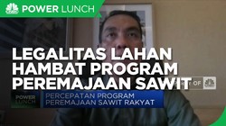 Komisi XI Sebut 3 Penghambat Program Peremajaan Sawit Rakyat