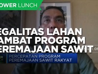 Komisi XI Sebut 3 Penghambat Program Peremajaan Sawit Rakyat