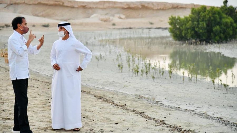 Presiden Joko Widodo meninjau Jubail Mangrove Park yang terletak di Pulau Al Jubail, Abu Dhabi, Persatuan Emirat Arab (PEA), pada Rabu sore, 3 November 2021. (Biro Pers Sekretariat Presiden/Laily Rachev)