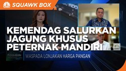 Tekan Harga Pakan Ayam, Kemendag Salurkan Jagung Khusus
