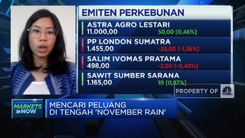 Cari Peluang di 'November Rain', Ini Sektor Layak Koleksi