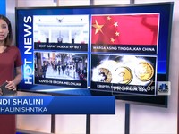 Hot News: SWF Dapat Injeksi Hingga Crypto Shiba Anjlok