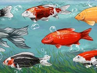 Raup Cuan dari Hobi Ikan Koi, Ini Daftar Harga & Jenisnya