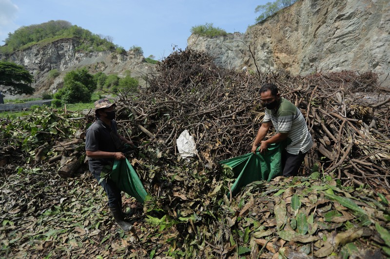Tempat Pembuangan Akhir (TPA) Regional Kebon Kongok, Kabupaten Lombok Barat, Foto udara gunungan sampah di Tempat Pembuangan Akhir (TPA) Regional Kebon Kongok, Kabupaten Lombok Barat, Jumat (5/11/2021). Lokasi ini merupakan tempat pemilahan sampah organik dan anorganik, di komplek TPA terbesar di Nusa Tenggara Barat NTB. Dari sini, proses pengolahan sampah menjadi pelet RDF (Refuse Derived Fuel) dibuat, yang merupakan pengganti bahan bakar batubara di Pembangkit Listrik Tenaga Uap (PLTU) Jeranjang, Lombok Barat. Sampah diproses di mesin pencacah ukuran 5-8 mm untuk berikutnya dimasukkan ke mesin pengepresan menjadi pelet RDF. Pelet akan dikeringkan di bawah sinar matahari sebelum dikirim ke PLTU Jeranjang. Di pembangkit listrik itu pelet dibakar melalui sistem co-firing.
Setiap hari, sekitar 300 ton sampah dari Kota Mataram dan Lombok Barat diantar ke TPA ini. Namun, menurut jumlah yang diolah menjadi pellet baru 100 hingga 200 kilogram.
Kementerian PUPR memfasilitasi lahan seluas 40 are (4 ribu meter persegi) di sekitar TPA. Di bangunan tersebut, semua fasilitas yang dibutuhkan untuk pengolahan sampah menjadi pellet disediakan.
Penelitian masih dilakukan agar sampah non-organik bisa lebih banyak diolah. Saat ini, komposisi pelet terdiri 95 persen sampah organik dan 5 persen anorganik. (CNBC Indonesia/ Tri Susilo)