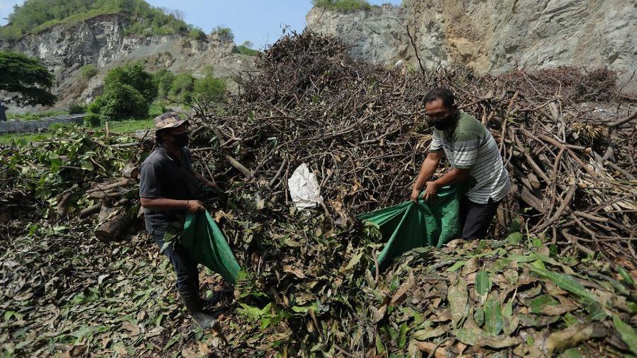 Foto udara gunungan sampah di Tempat Pembuangan Akhir (TPA) Regional Kebon Kongok, Kabupaten Lombok Barat, Jumat (5/11/2021).  Lokasi ini merupakan tempat pemilahan sampah organik dan anorganik, di komplek TPA terbesar di Nusa Tenggara Barat NTB. Dari sini, proses pengolahan sampah menjadi pelet RDF (Refuse Derived Fuel) dibuat, yang merupakan pengganti bahan bakar batubara di Pembangkit Listrik Tenaga Uap (PLTU) Jeranjang, Lombok Barat. Sampah diproses di mesin pencacah ukuran 5-8 mm untuk berikutnya dimasukkan ke mesin pengepresan menjadi pelet RDF. Pelet akan dikeringkan di bawah sinar matahari sebelum dikirim ke PLTU Jeranjang. Di pembangkit listrik itu pelet dibakar melalui sistem co-firing.
Setiap hari, sekitar 300 ton sampah dari Kota Mataram dan Lombok Barat diantar ke TPA ini. Namun, menurut jumlah yang diolah menjadi pellet baru 100 hingga 200 kilogram. 
Kementerian PUPR memfasilitasi lahan seluas 40 are (4 ribu meter persegi) di sekitar TPA. Di bangunan tersebut, semua fasilitas yang dibutuhkan untuk pengolahan sampah menjadi pellet disediakan. 
Penelitian masih dilakukan agar sampah non-organik bisa lebih banyak diolah. Saat ini, komposisi pelet terdiri 95 persen sampah organik dan 5 persen anorganik. (CNBC Indonesia/ Tri Susilo)