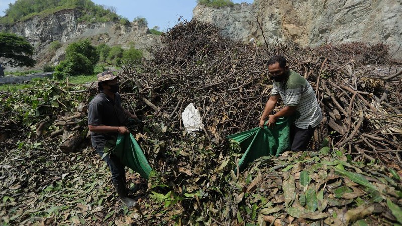 Foto udara gunungan sampah di Tempat Pembuangan Akhir (TPA) Regional Kebon Kongok, Kabupaten Lombok Barat, Jumat (5/11/2021).  Lokasi ini merupakan tempat pemilahan sampah organik dan anorganik, di komplek TPA terbesar di Nusa Tenggara Barat NTB. Dari sini, proses pengolahan sampah menjadi pelet RDF (Refuse Derived Fuel) dibuat, yang merupakan pengganti bahan bakar batubara di Pembangkit Listrik Tenaga Uap (PLTU) Jeranjang, Lombok Barat. Sampah diproses di mesin pencacah ukuran 5-8 mm untuk berikutnya dimasukkan ke mesin pengepresan menjadi pelet RDF. Pelet akan dikeringkan di bawah sinar matahari sebelum dikirim ke PLTU Jeranjang. Di pembangkit listrik itu pelet dibakar melalui sistem co-firing.
Setiap hari, sekitar 300 ton sampah dari Kota Mataram dan Lombok Barat diantar ke TPA ini. Namun, menurut jumlah yang diolah menjadi pellet baru 100 hingga 200 kilogram. 
Kementerian PUPR memfasilitasi lahan seluas 40 are (4 ribu meter persegi) di sekitar TPA. Di bangunan tersebut, semua fasilitas yang dibutuhkan untuk pengolahan sampah menjadi pellet disediakan. 
Penelitian masih dilakukan agar sampah non-organik bisa lebih banyak diolah. Saat ini, komposisi pelet terdiri 95 persen sampah organik dan 5 persen anorganik. (CNBC Indonesia/ Tri Susilo)