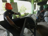PLTU Dicampur Biomassa, Bisa Kurangi Batu Bara Berapa Banyak?